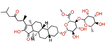 Pandaroside M methyl ester